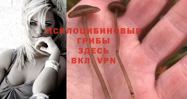 метадон Балабаново