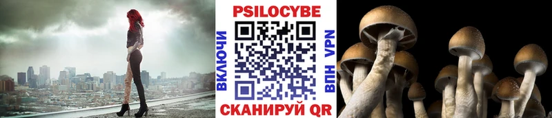 Псилоцибиновые грибы Magic Shrooms  Самара 